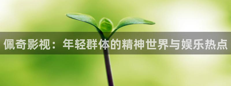 依依影院一区：佩奇影视：年轻群体的精神世界与娱乐热点