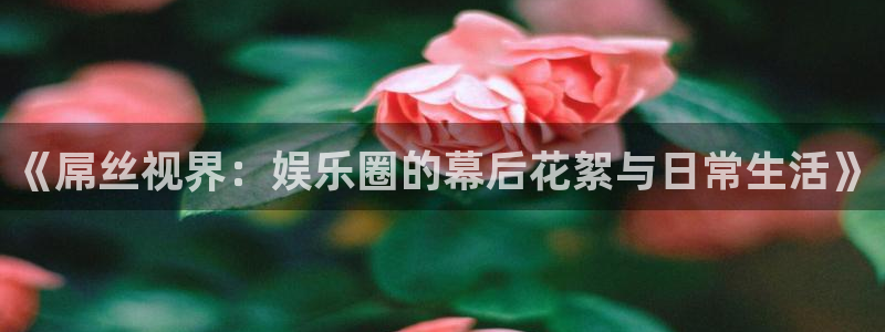 午夜依依成人影院：《屌丝视界：娱乐圈的幕后花絮与日常生活》