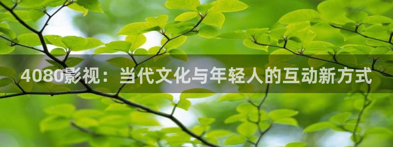 依依影院88av：4080影视：当代文化与年轻人的互动新方式