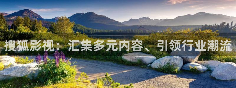 依依网站：搜狐影视：汇集多元内容、引领行业潮流
